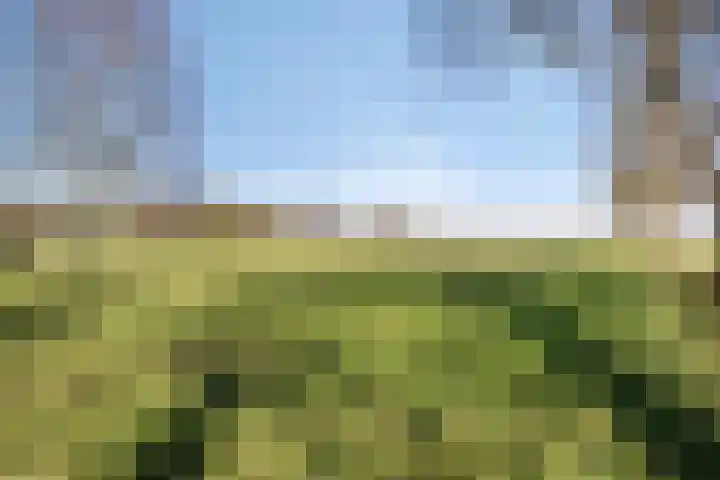 Lugtenbergerweg 10 Eelde thumbnail 38