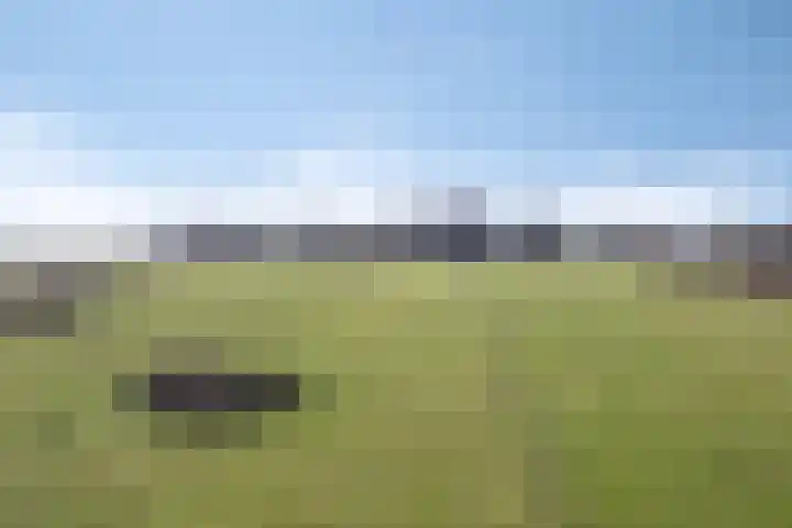 Lugtenbergerweg 10 Eelde thumbnail 40