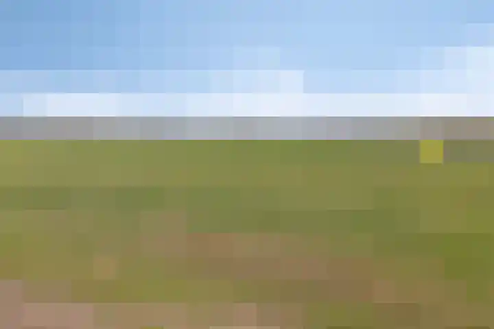Lugtenbergerweg 10 Eelde thumbnail 41
