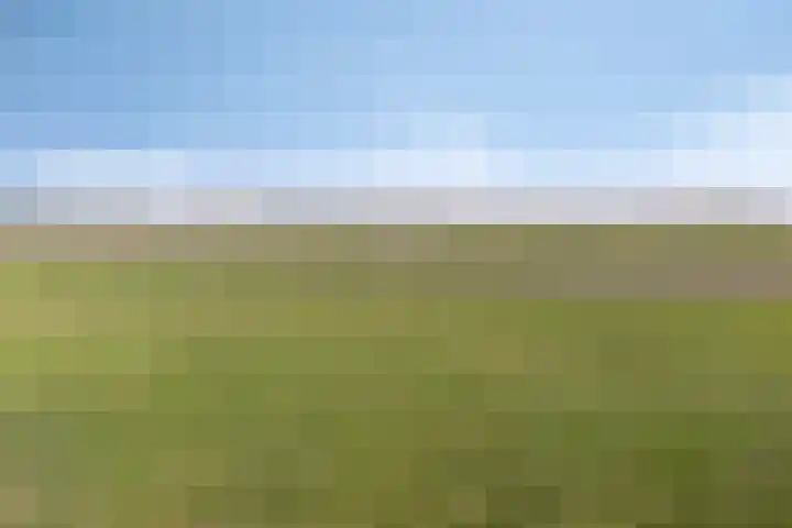 Lugtenbergerweg 10 Eelde thumbnail 42