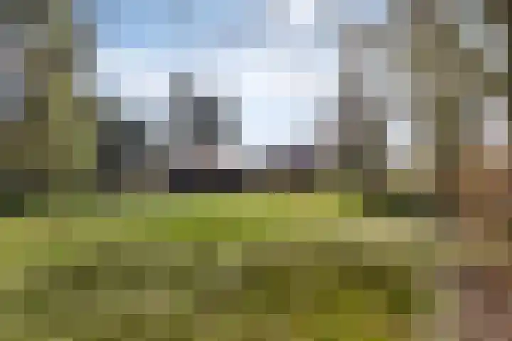 Lugtenbergerweg 10 Eelde thumbnail 5