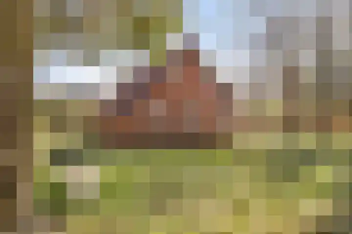 Lugtenbergerweg 10 Eelde thumbnail 8