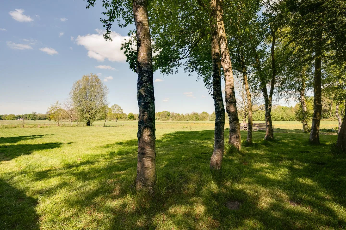 Lugtenbergerweg 7 Eelde thumbnail 77