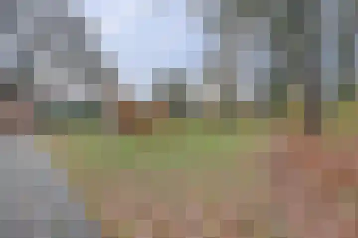 Lugtenbergweg 28 Nunspeet thumbnail 32