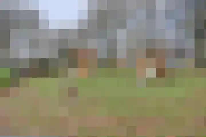 Lugtenbergweg 28 Nunspeet thumbnail 33