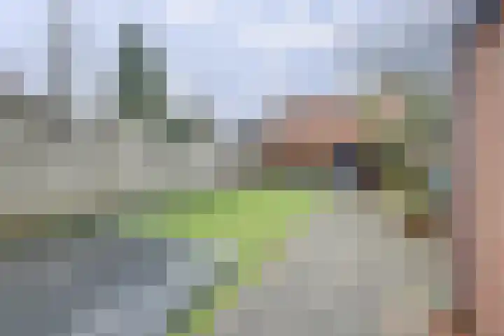 Lugtenbergweg 28 Nunspeet thumbnail 5