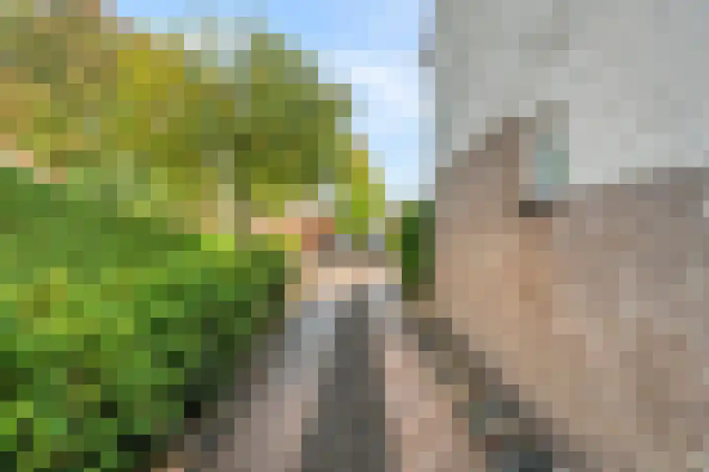 Lugtenbergweg 34 Nunspeet thumbnail 17