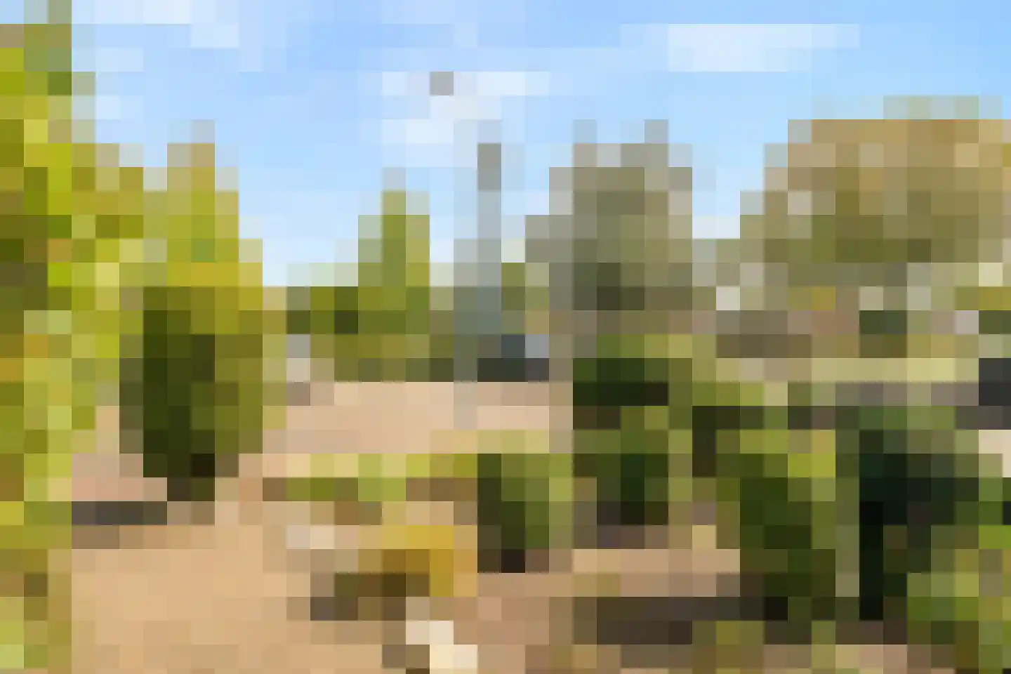 Lugtenbergweg 34 Nunspeet thumbnail 34