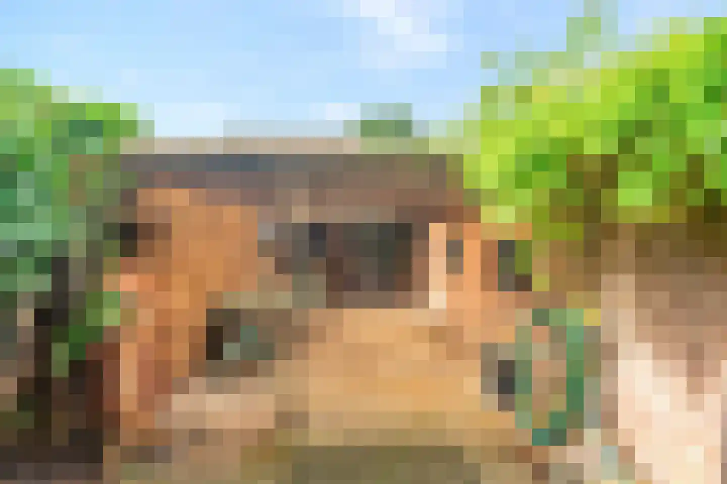 Lugtenbergweg 34 Nunspeet thumbnail 41