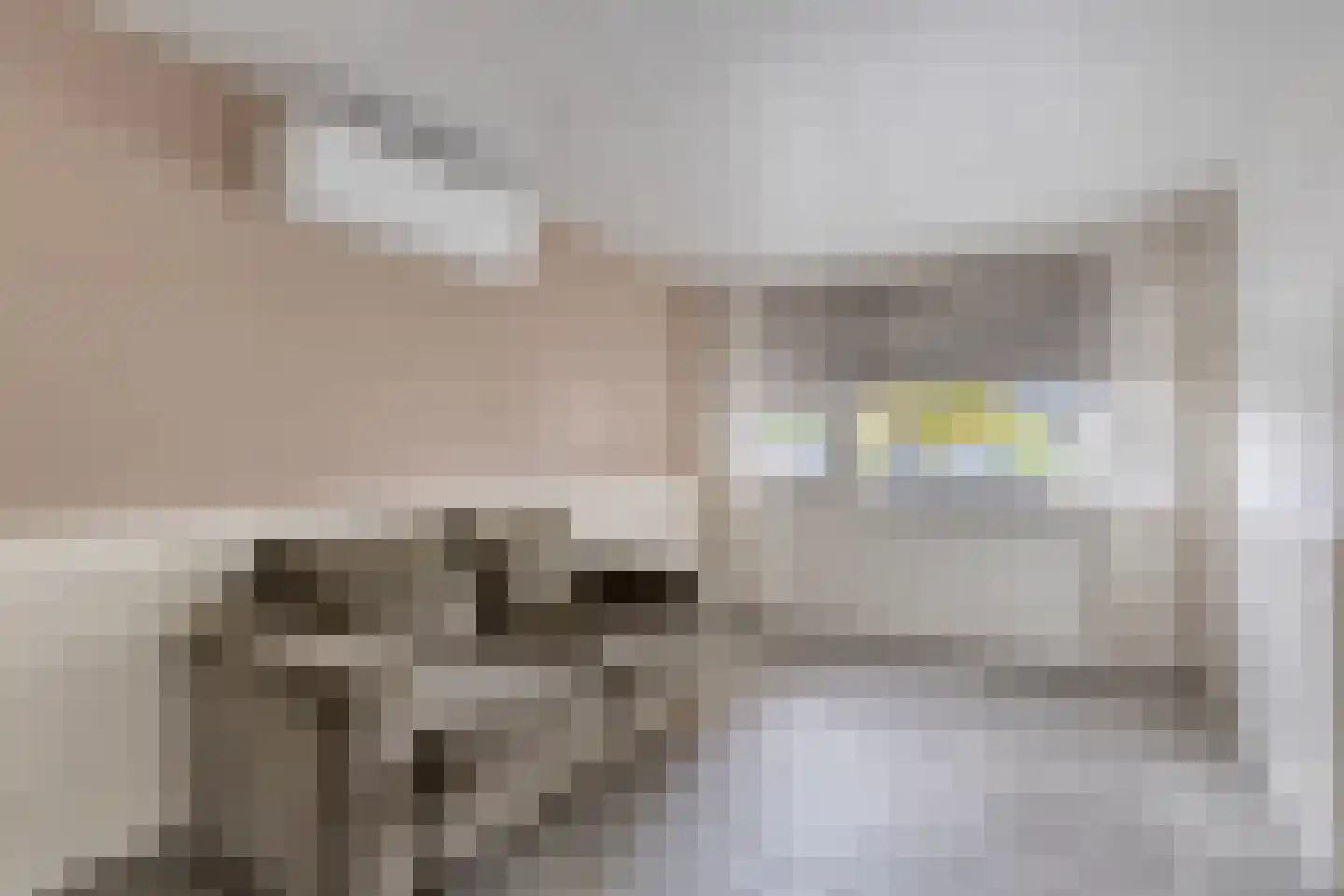 Lugtenburg 3 St. Willebrord thumbnail 13