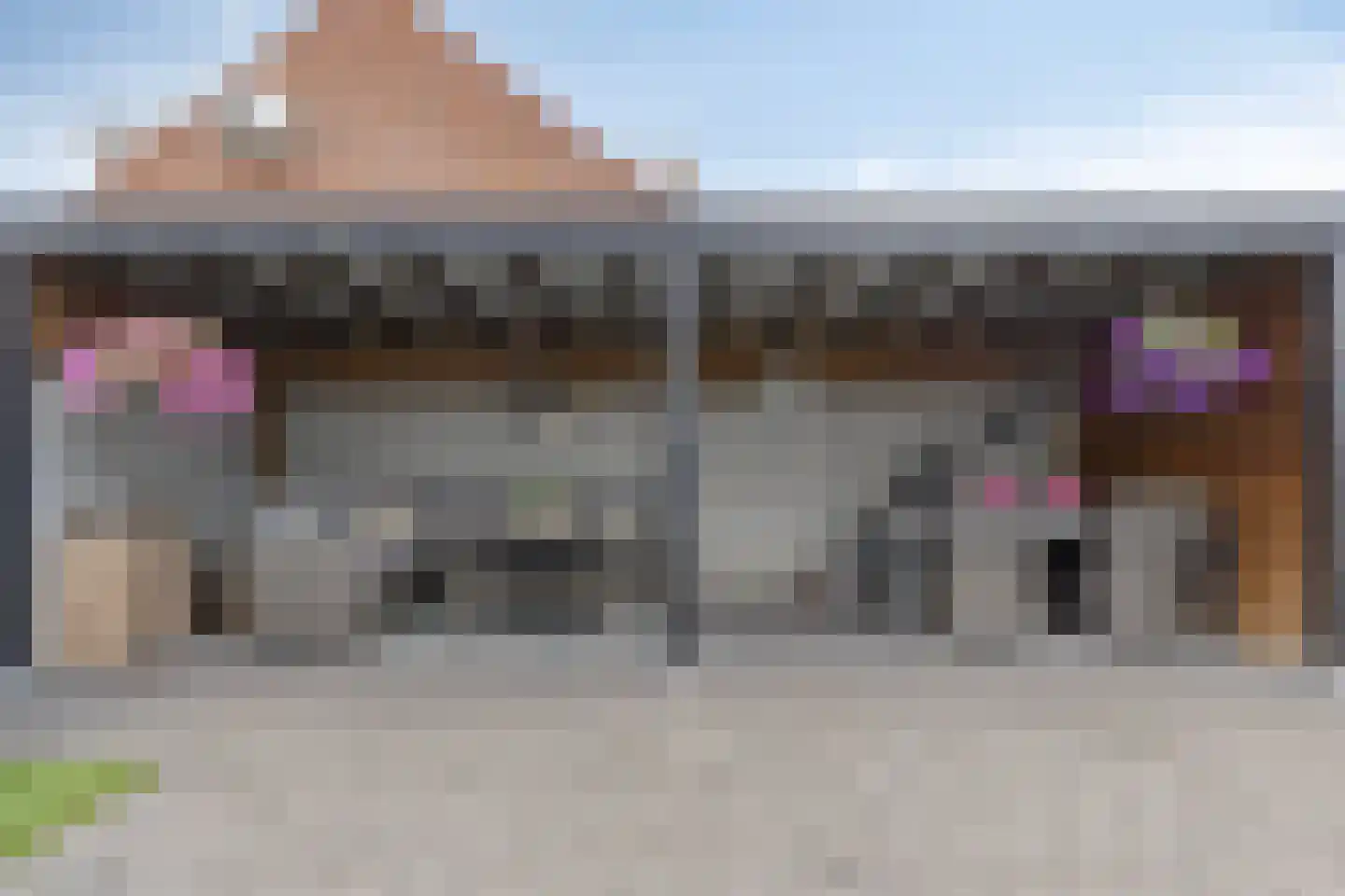 Lugtenburg 3 St. Willebrord thumbnail 29