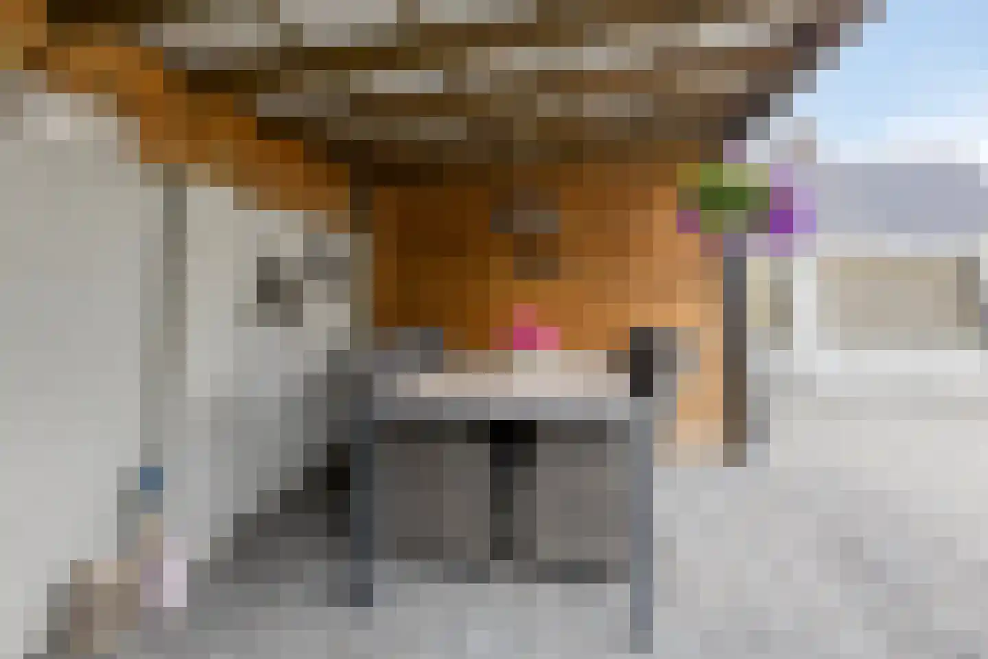 Lugtenburg 3 St. Willebrord thumbnail 31