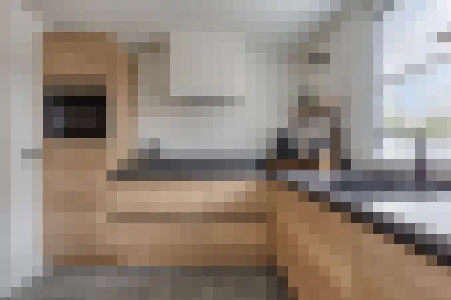Lugtenburg 3 St. Willebrord thumbnail 4