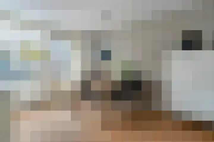 Lugteren 19 's-Hertogenbosch thumbnail 15