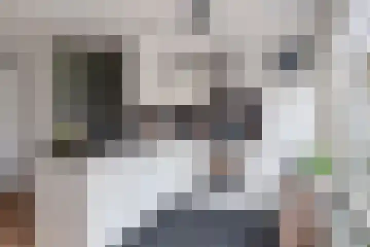 Lugteren 19 's-Hertogenbosch thumbnail 18
