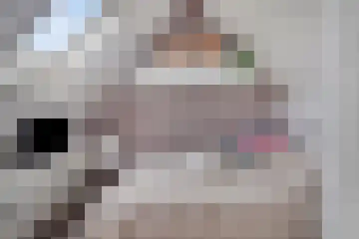 Lugteren 19 's-Hertogenbosch thumbnail 31