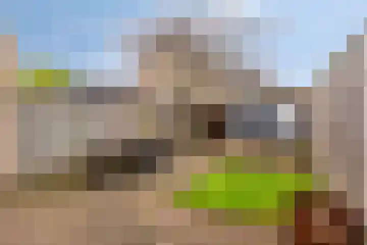 Lugteren 19 's-Hertogenbosch thumbnail 34