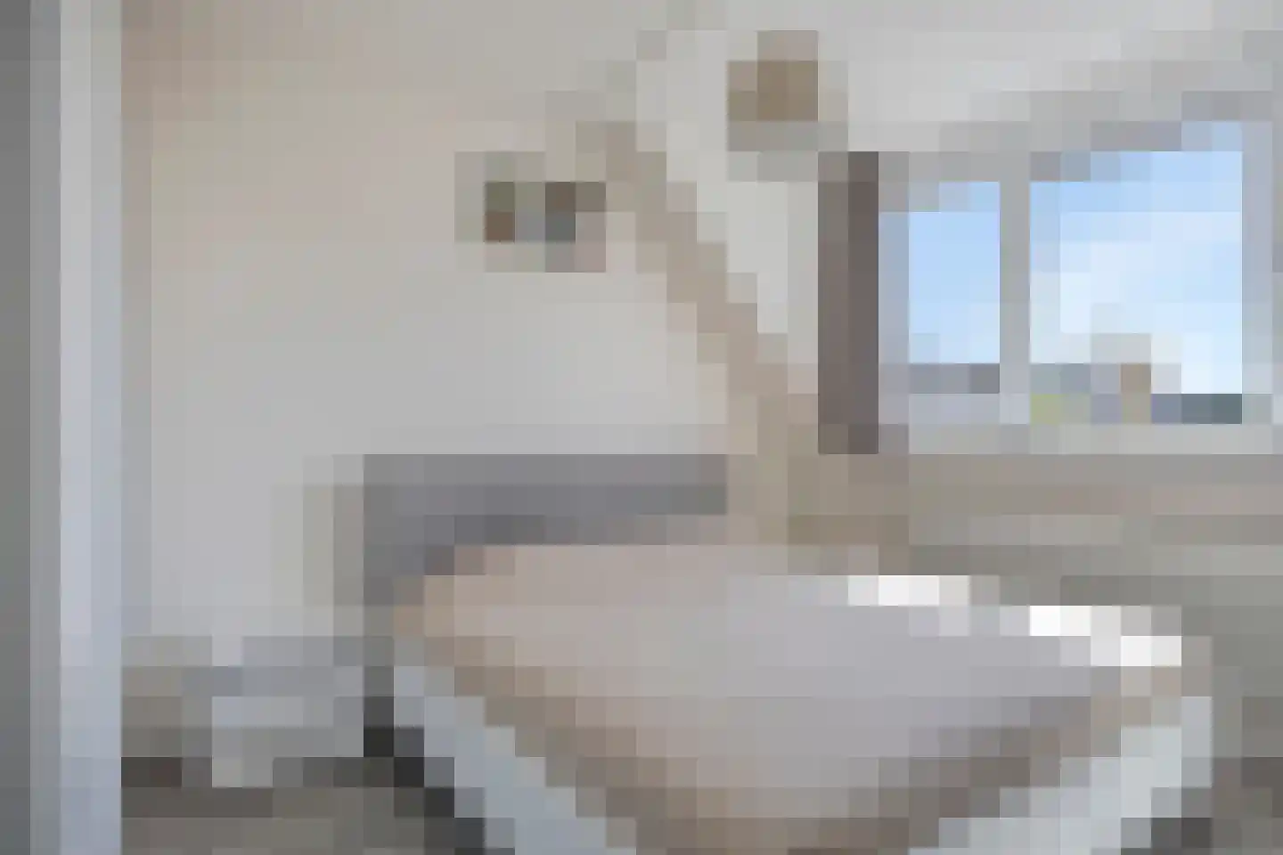 Lugteren 25 's-Hertogenbosch thumbnail 13