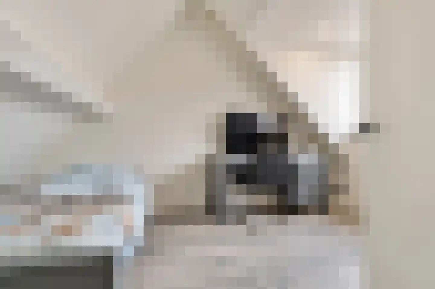 Lugteren 31 's-Hertogenbosch thumbnail 30