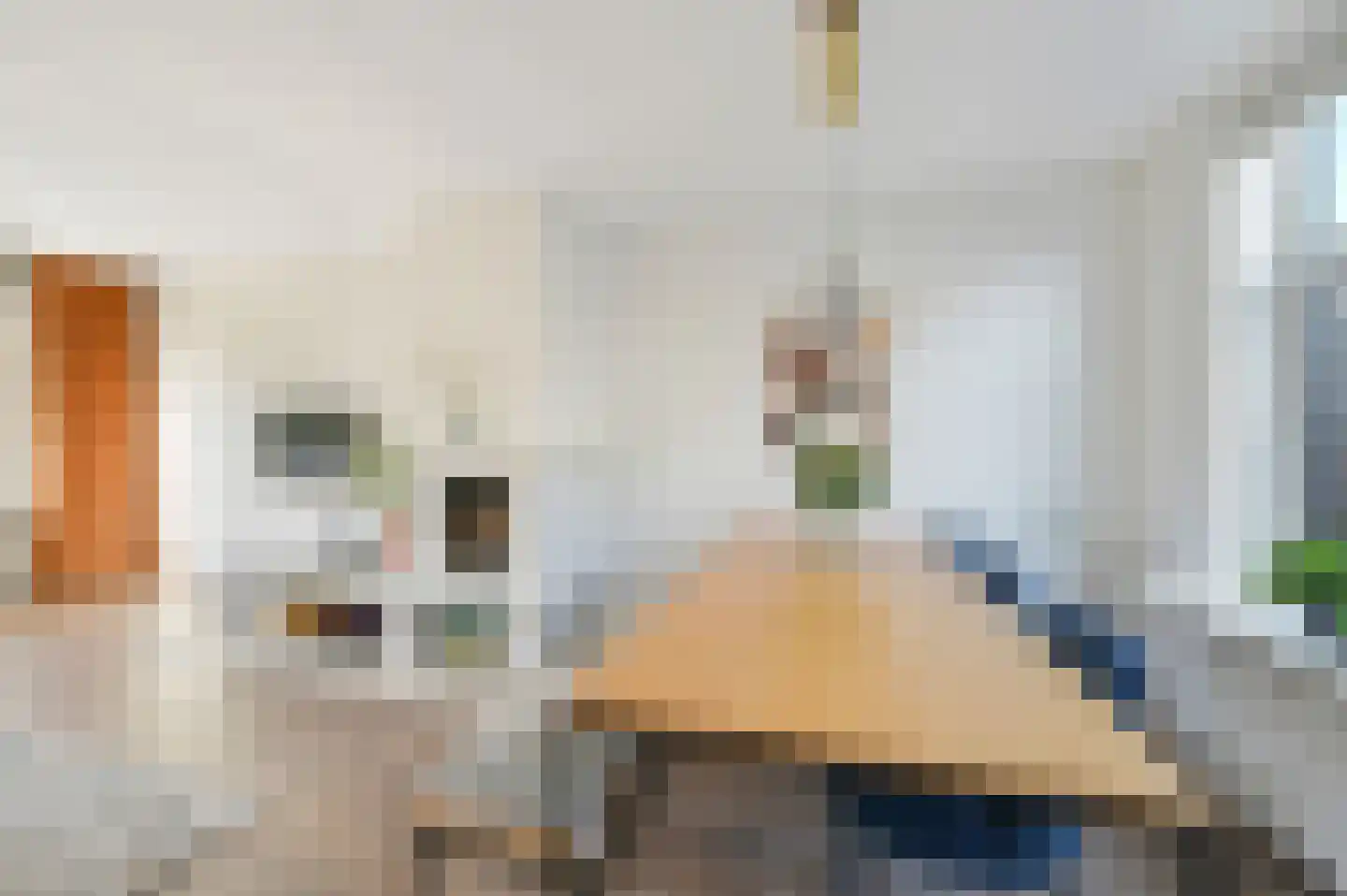 Lugtigheidstraat 10 's-Gravenzande thumbnail 6