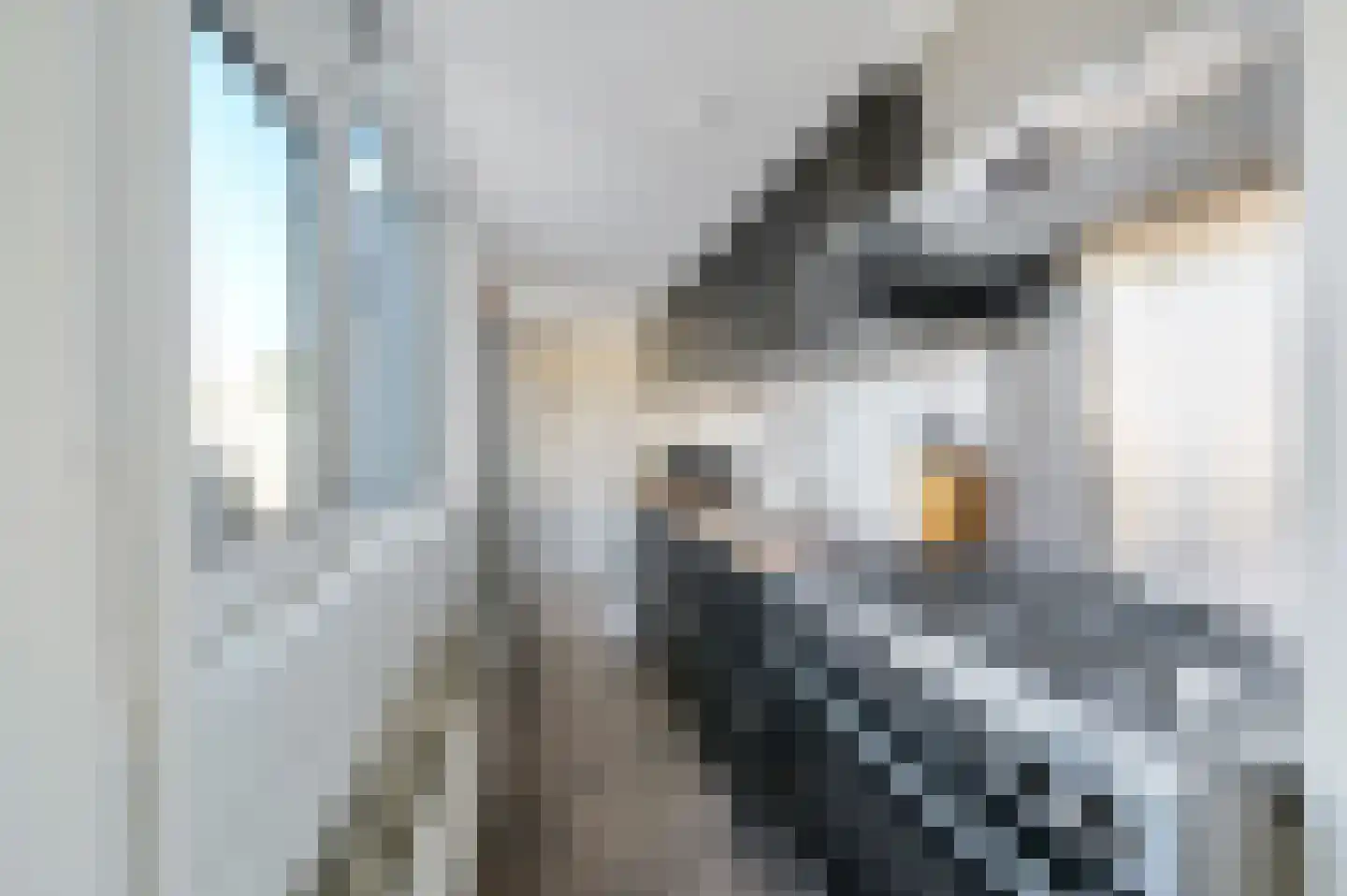 Lugtigheidstraat 10 's-Gravenzande thumbnail 8