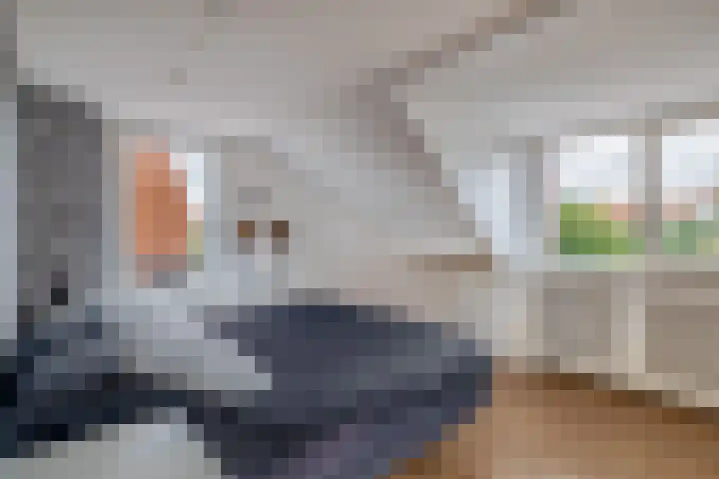 Lugtigheidstraat 20 's-Gravenzande thumbnail 18