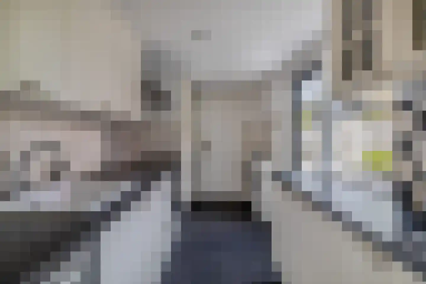 Lugtigheidstraat 20 's-Gravenzande thumbnail 4