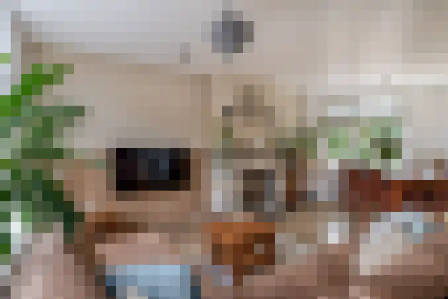 Lugtigheidstraat 20 's-Gravenzande thumbnail 8
