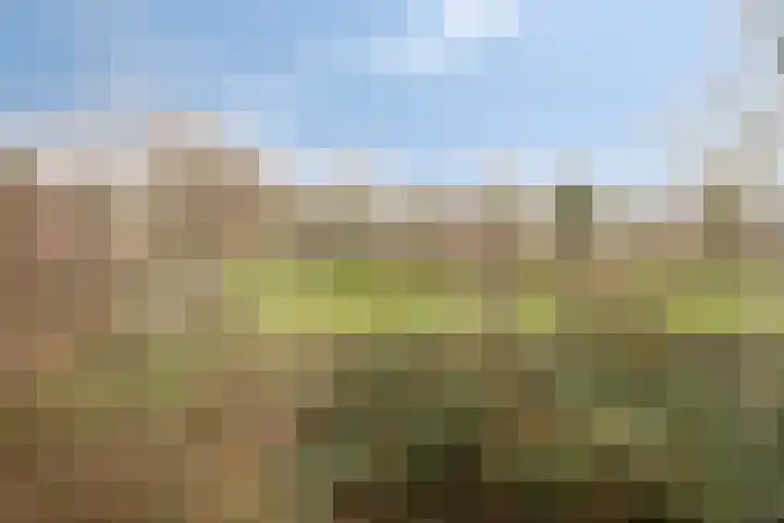 Luiendijk 18 Purmerend thumbnail 31