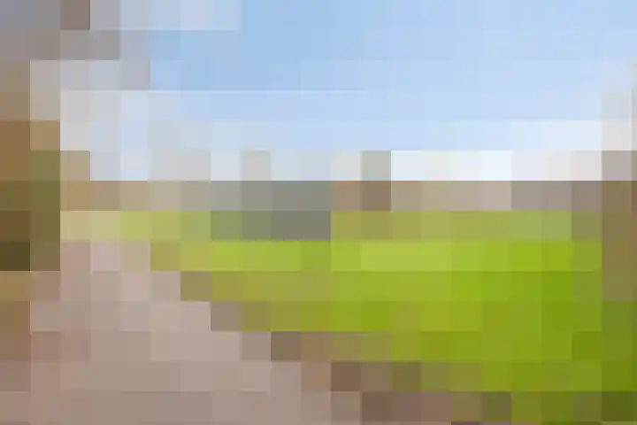 Luiendijk 18 Purmerend thumbnail 32