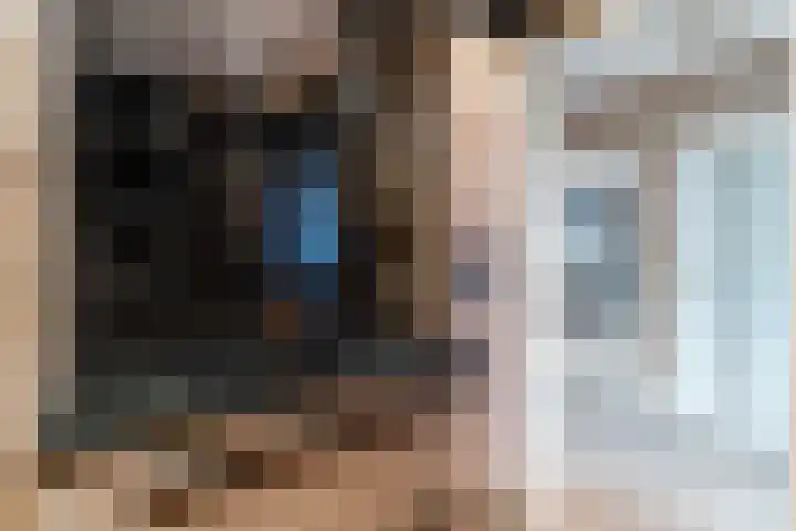 Luifelbaan 6 Wassenaar thumbnail 14