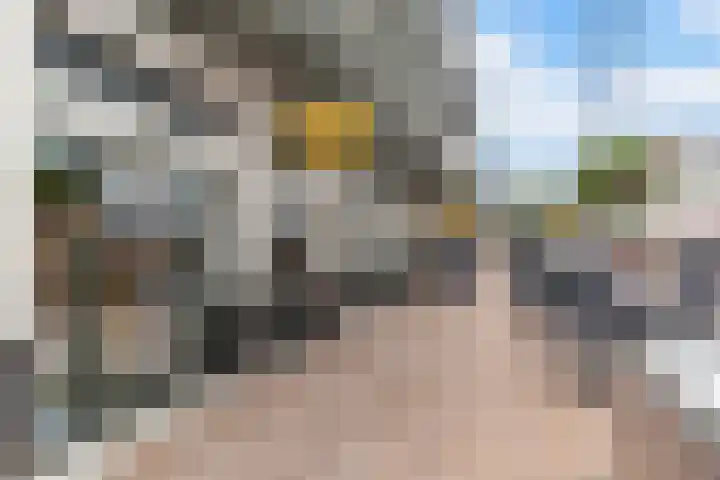 Luifelbaan 6 Wassenaar thumbnail 21