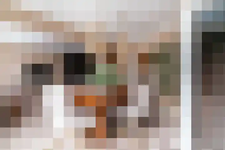 Luifelbaan 6 Wassenaar thumbnail 8