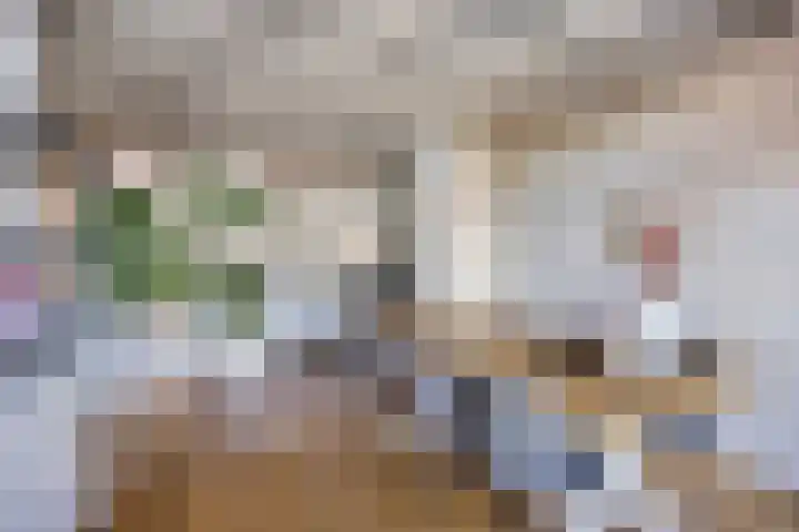 Luifelstraat 234 Roermond thumbnail 4