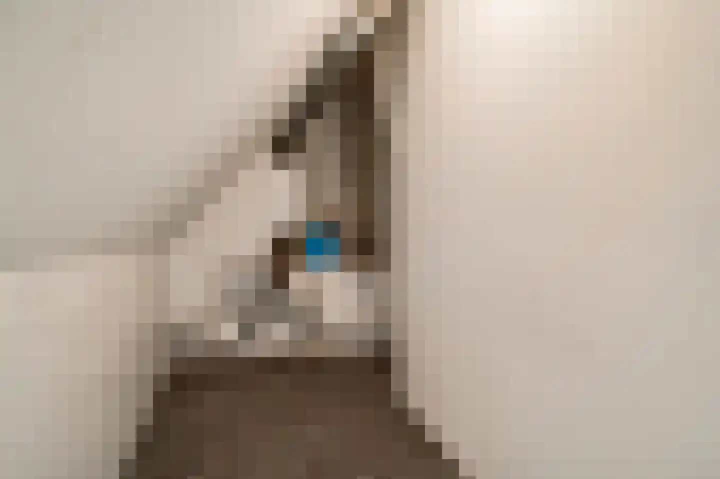 Luifelstraat 5 D Roermond thumbnail 20