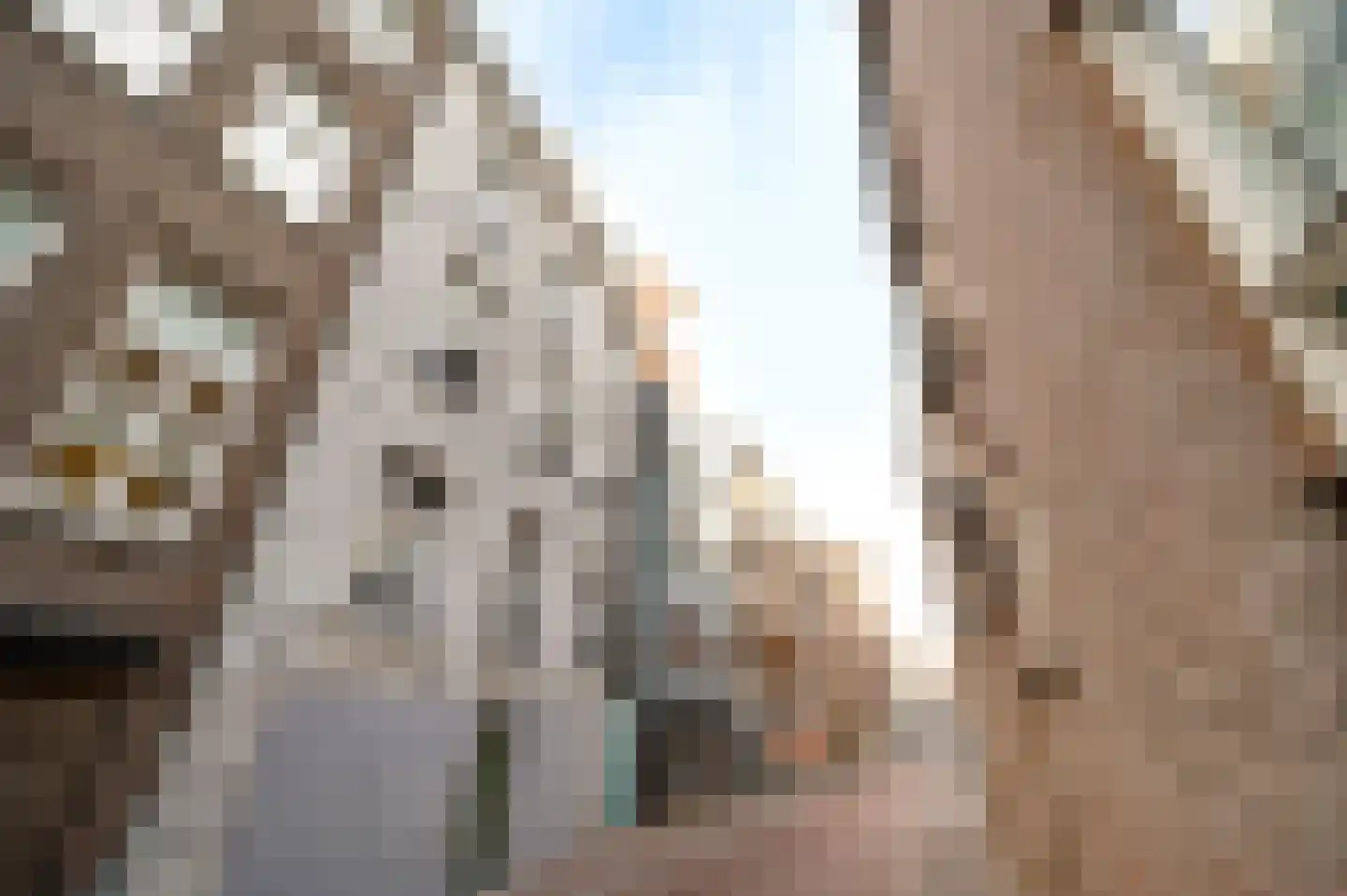 Luifelstraat 5 D Roermond thumbnail 8