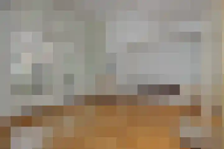 Luijbenstraat 12 's-Hertogenbosch thumbnail 11