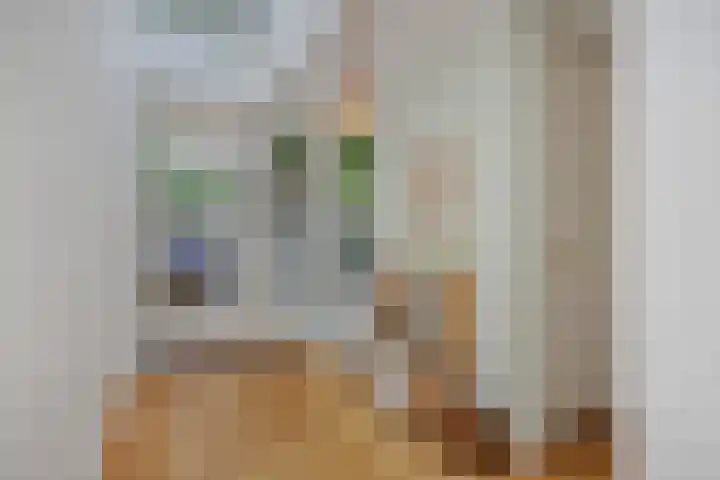 Luijbenstraat 12 's-Hertogenbosch thumbnail 17
