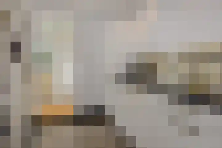Luijbenstraat 12 's-Hertogenbosch thumbnail 21