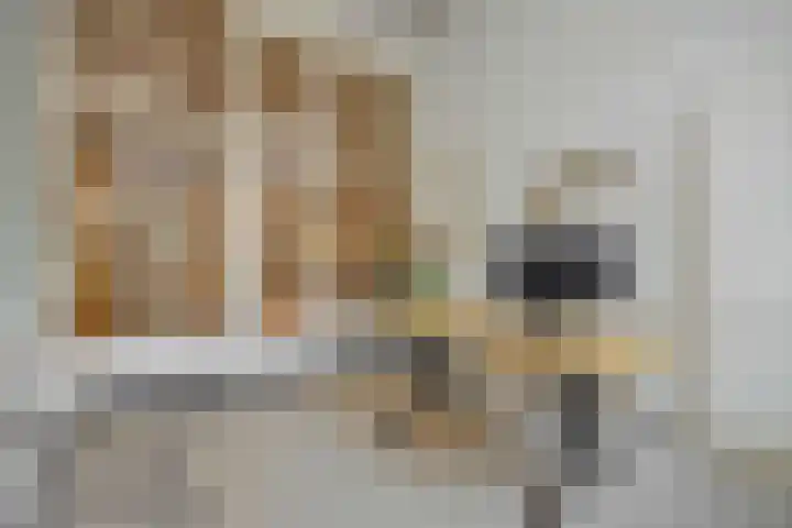 Luijbenstraat 12 's-Hertogenbosch thumbnail 6