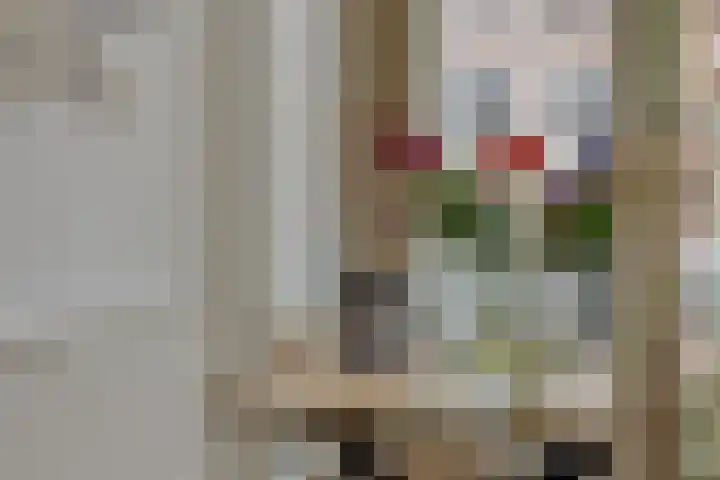 Luijbenstraat 12 's-Hertogenbosch thumbnail 8