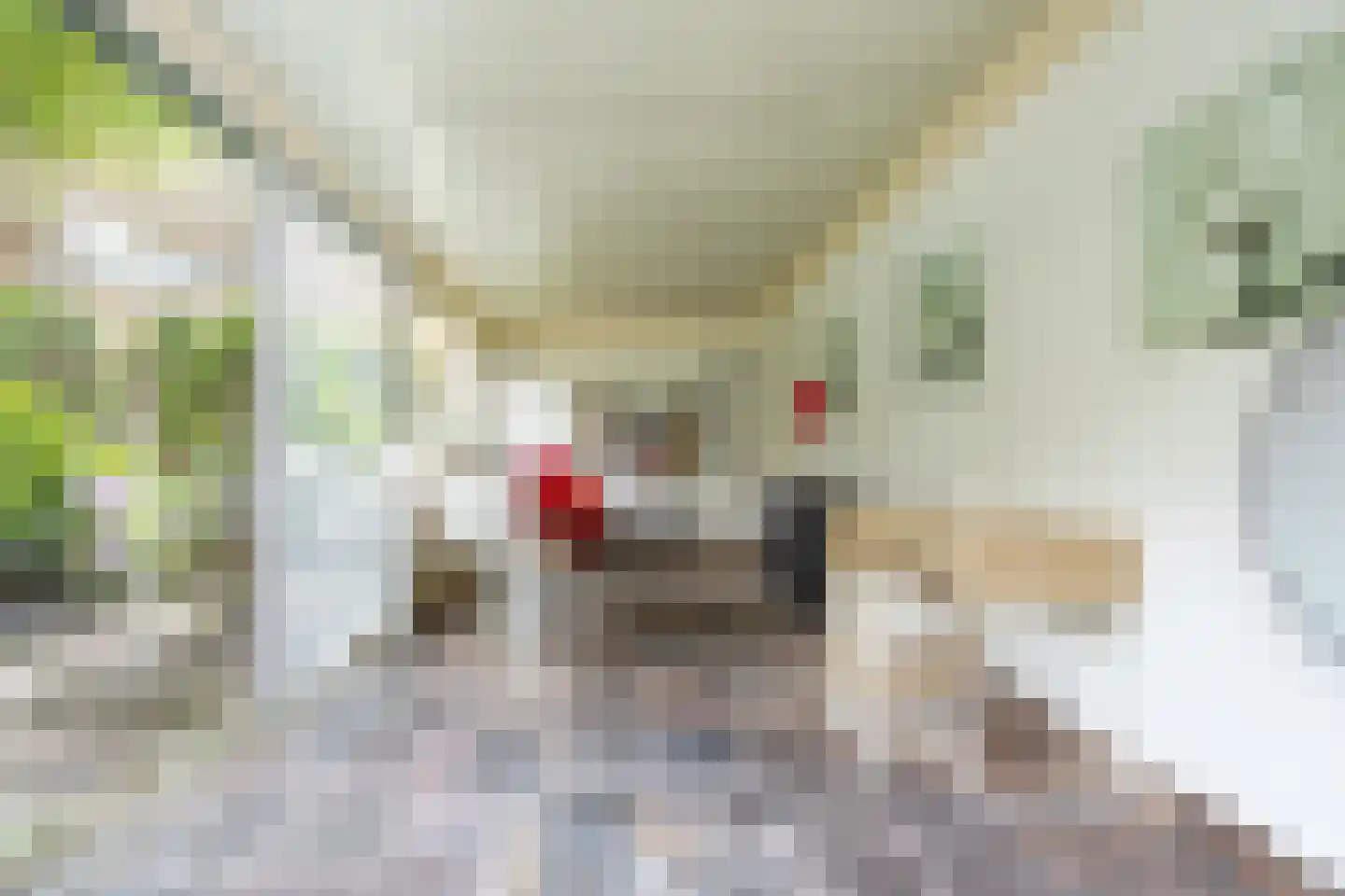 Luijbenstraat 18 's-Hertogenbosch thumbnail 28