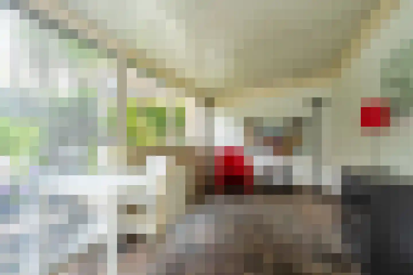 Luijbenstraat 18 's-Hertogenbosch thumbnail 31