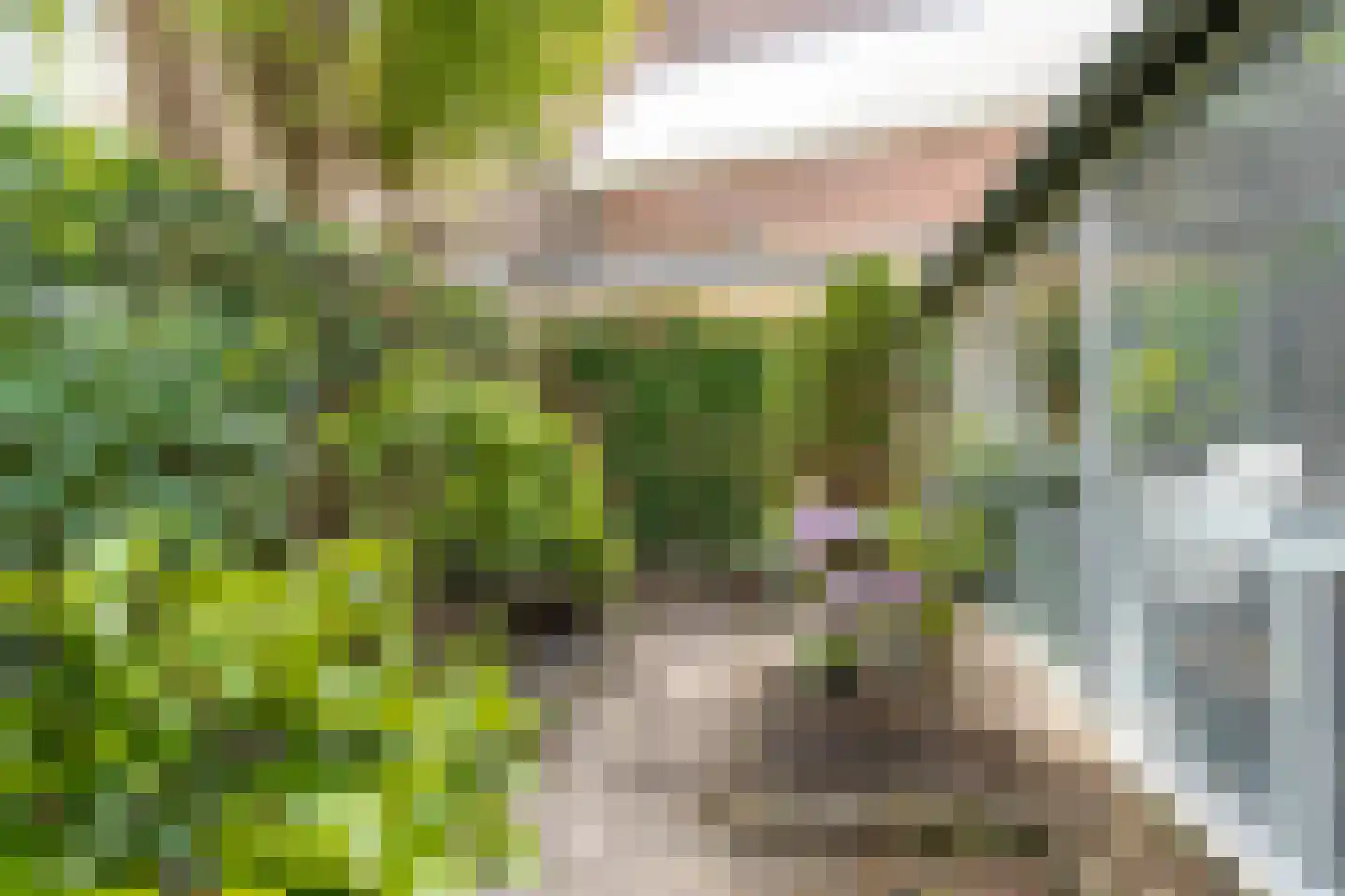 Luijbenstraat 18 's-Hertogenbosch thumbnail 33