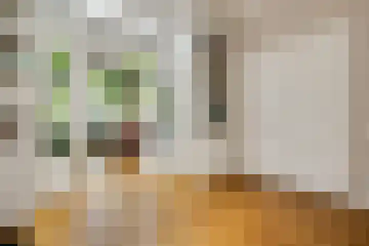 Luijbenstraat 19 's-Hertogenbosch thumbnail 11