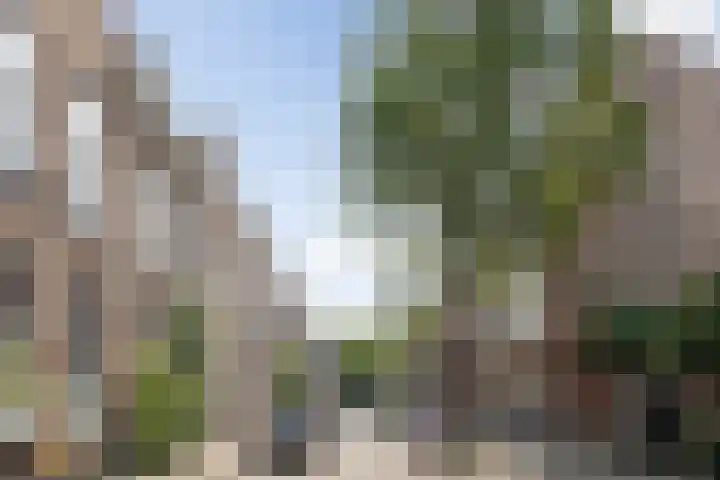 Luijbenstraat 19 's-Hertogenbosch thumbnail 55