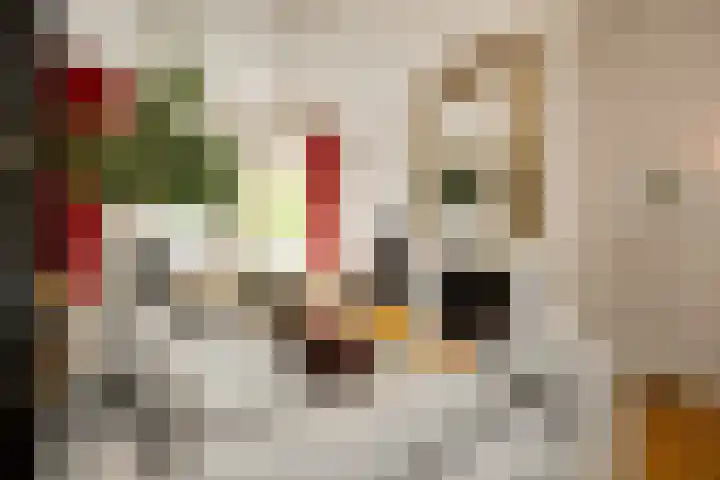 Luijbenstraat 19 's-Hertogenbosch thumbnail 8