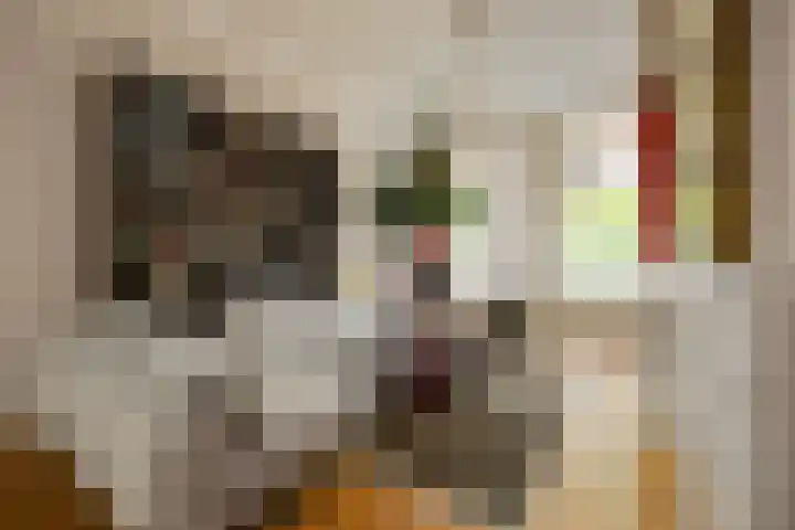 Luijbenstraat 19 's-Hertogenbosch thumbnail 9