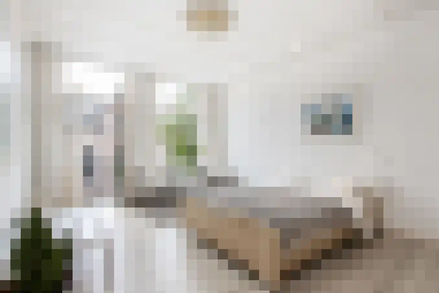 Luijbenstraat 22 's-Hertogenbosch thumbnail 12