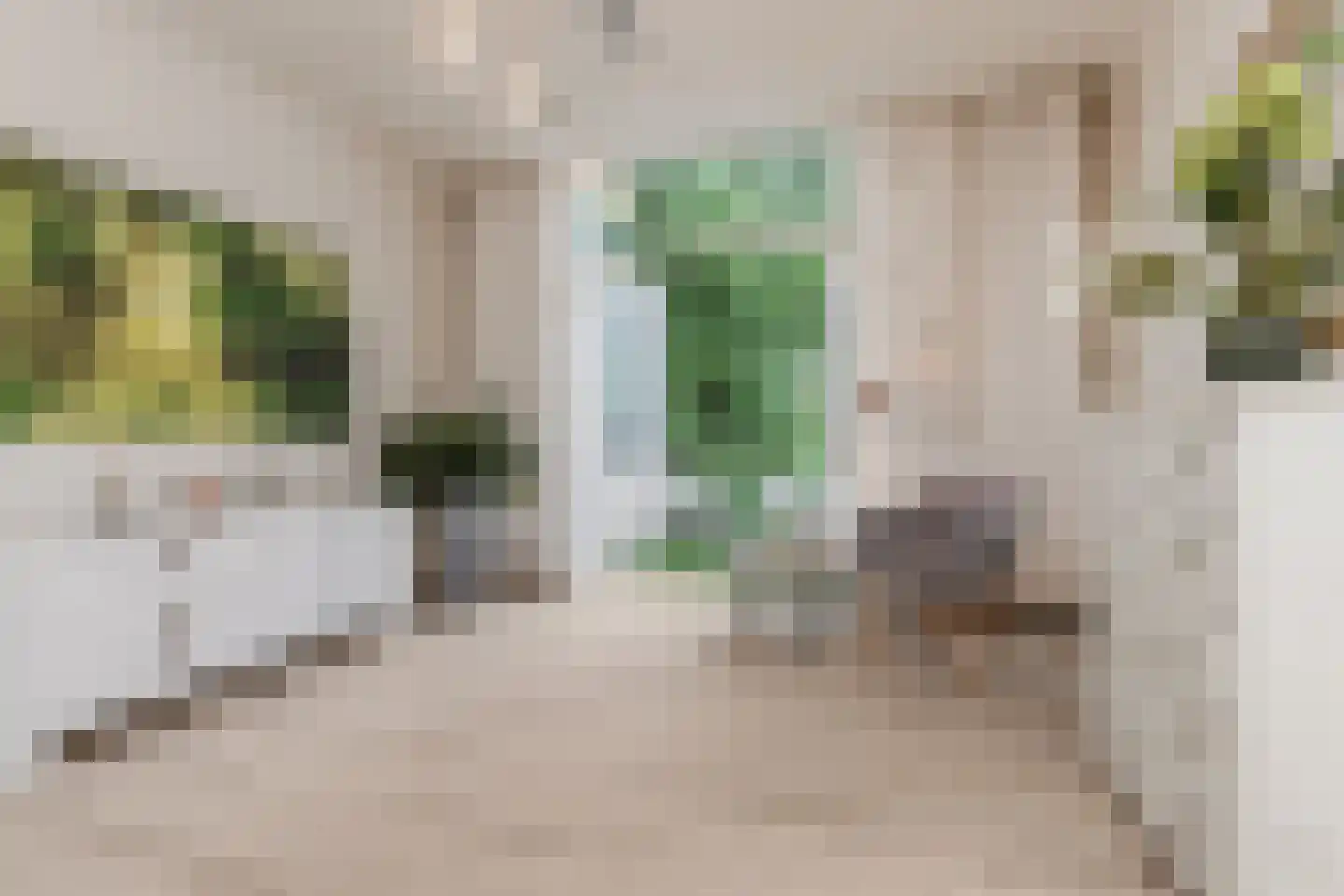 Luijbenstraat 22 's-Hertogenbosch thumbnail 19